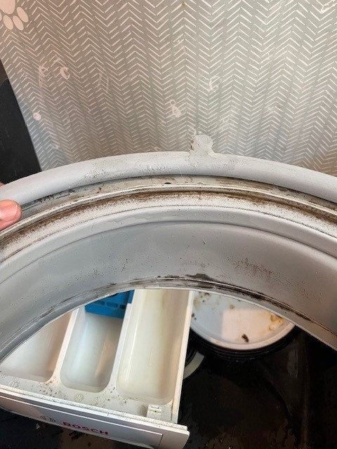 A mouldy dishwasher door seal before sanitisation.