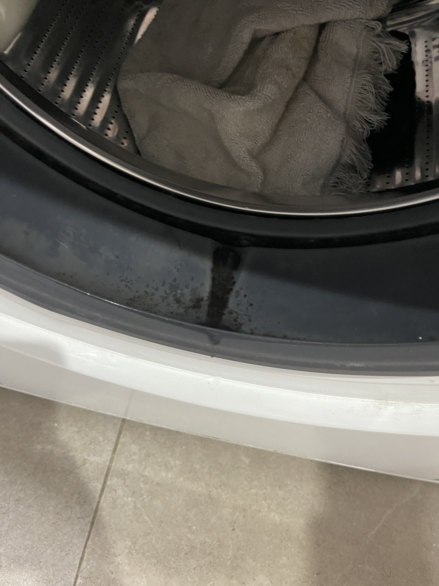 A mouldy front-loader door seal before replacement.